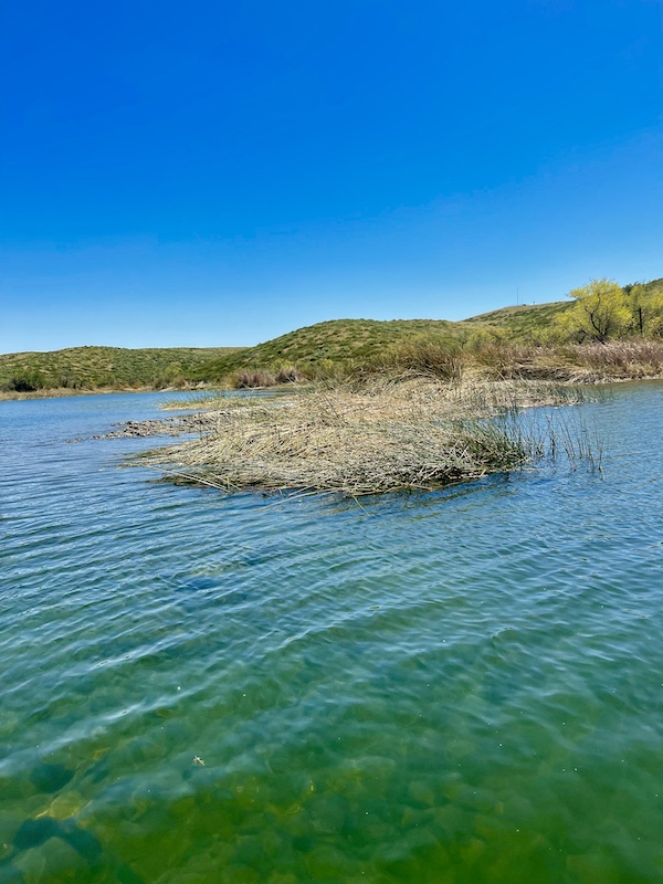 Island of reeds, ripples in Lake Skinner Temecula CA and distant mountains.