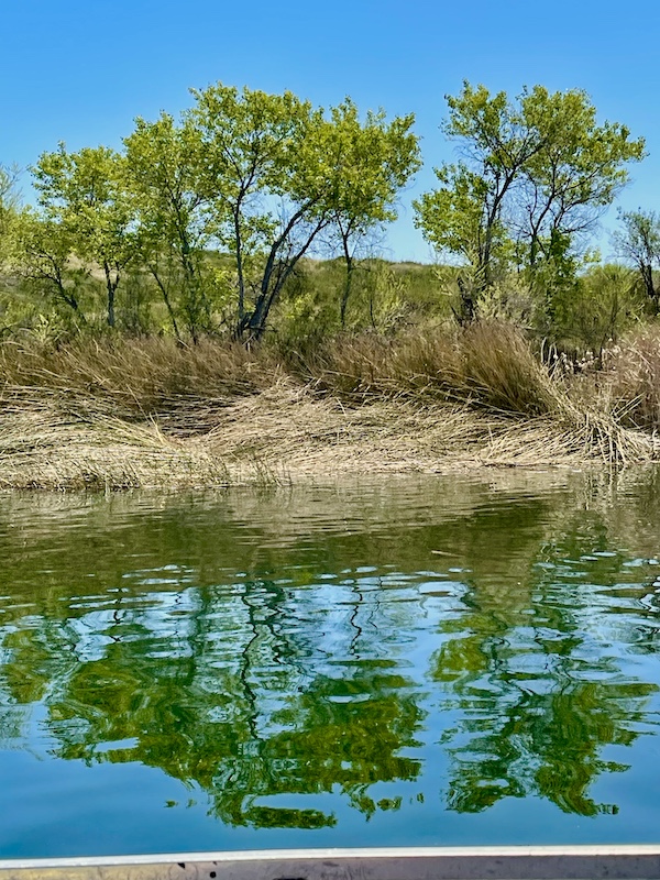 Trees are reflected in the calm water of Lake Skinner Temecula CA
