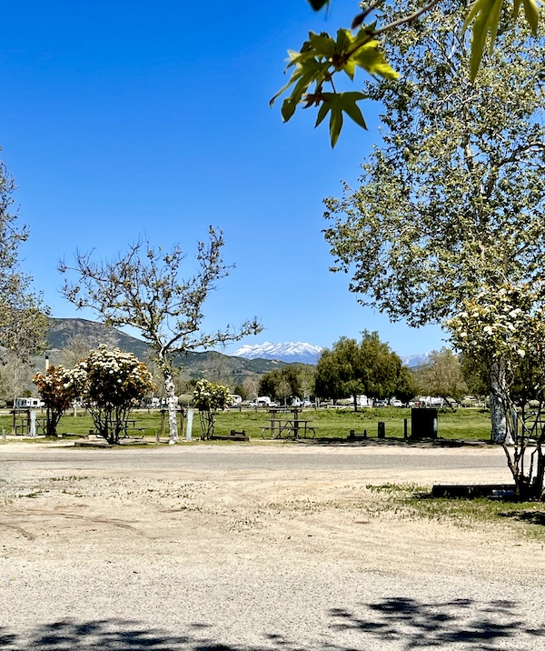 View from our campsite of snow-capped mountains at Lake Skinner Temecula CA
