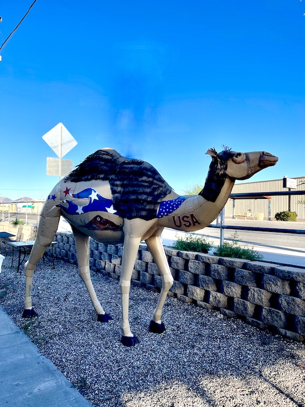 Camel statue with stars and stripes seen on Our Visit to Quartzite Arizona
