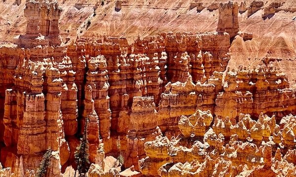 Red rock formations that look like people gathering in front of a castle at Bryce Canyon National Park