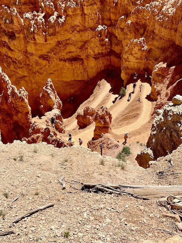 Unusual red rock formations at Bryce Canyon National Park