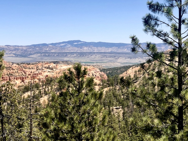 Distant mountains and red rock canyons with 3 lakes visible beyond evergreen trees at Bryce Canyon National Park