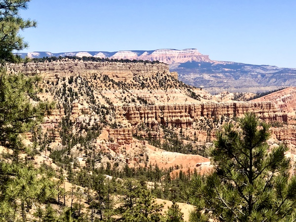 Multicolored mountains and canyons beyond the trees at Bryce Canyon National Park