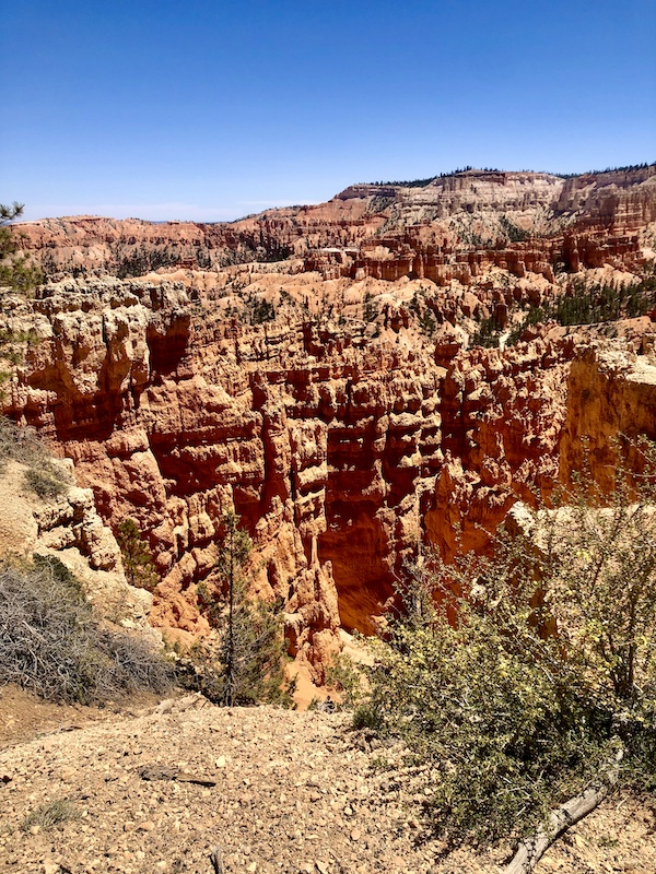Red rock spires galore at Bryce Canyon National Park