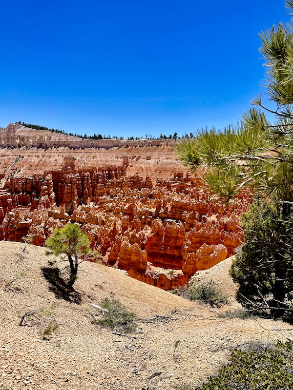 Red rock formations in Bryce Canyon National Park that look like people in an amphitheater