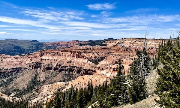 Pink and white striped canyons with trees at Cedar Breaks National Monument