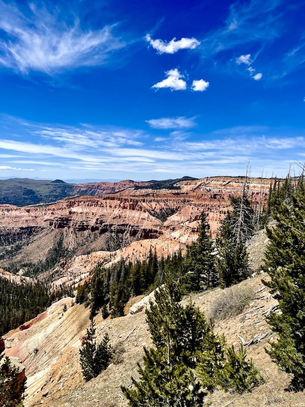 Pink and white striped canyons with trees at Cedar Breaks National Monument