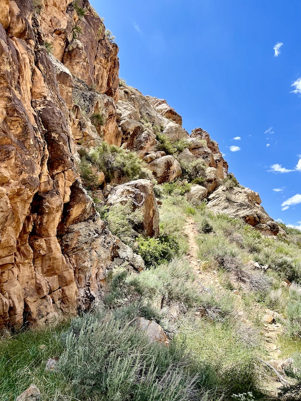 Gold, red and gray rocks with green plants at base at Petroglyphs of Parowan Gap Utah