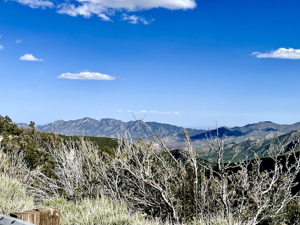 Mountains, trees and twigs of Scenic Mount Charleston Nevada
