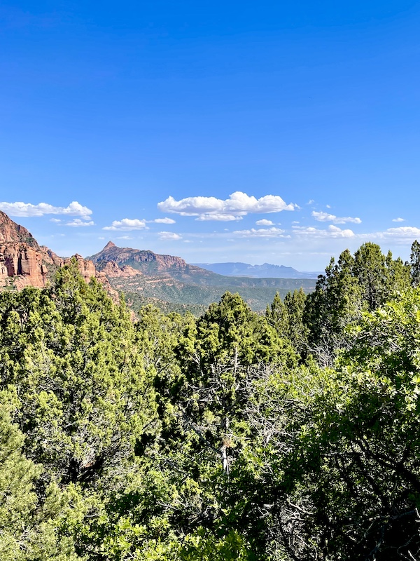 Red rock peaks and distant purple mountains at Zion National Park Kolob Canyons with trees in front