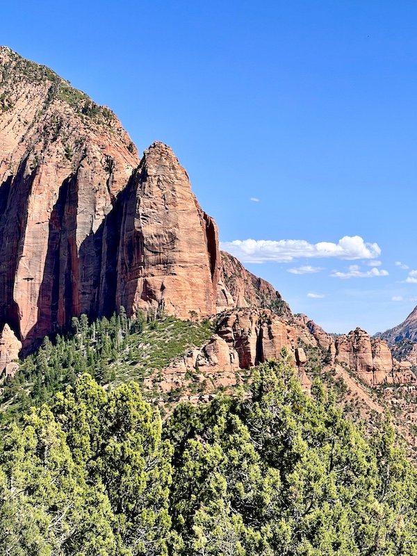 Red rock mountains that look like they've been chiseled by an artist at Zion National Park Kolob Canyons