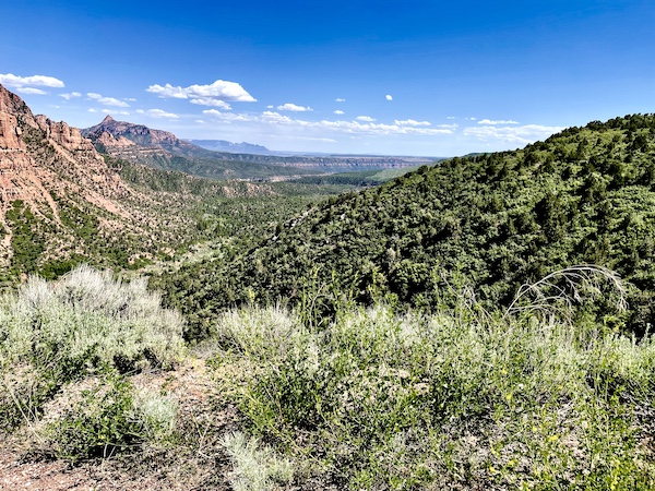 Various mountains and greenery at Zion National Park Kolob Canyons