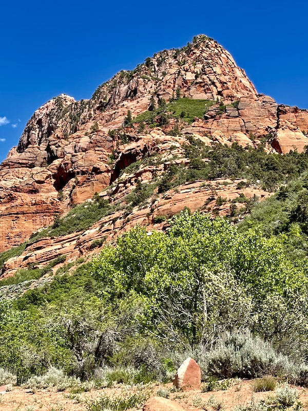 Layers of red rock and trees against a deep blue sky at Zion National Park Kolob Canyons