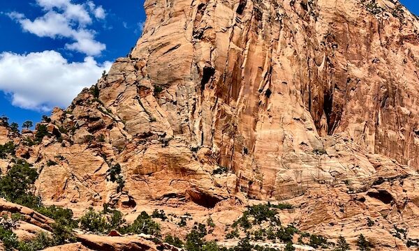 Red rock formation that looks like a sleeping lion at Zion National Park Kolob Canyons