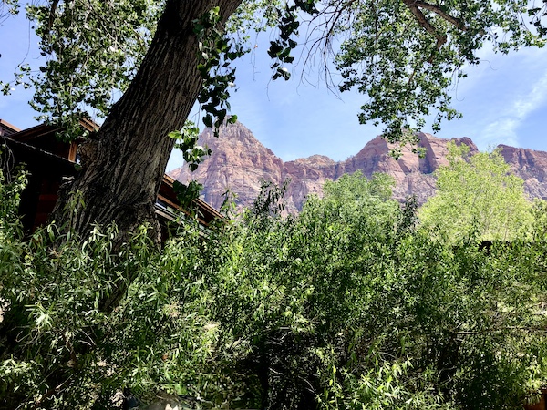 Seen through trees at Zion National Park Utah, mountains appear to be lavender, pink and purple.