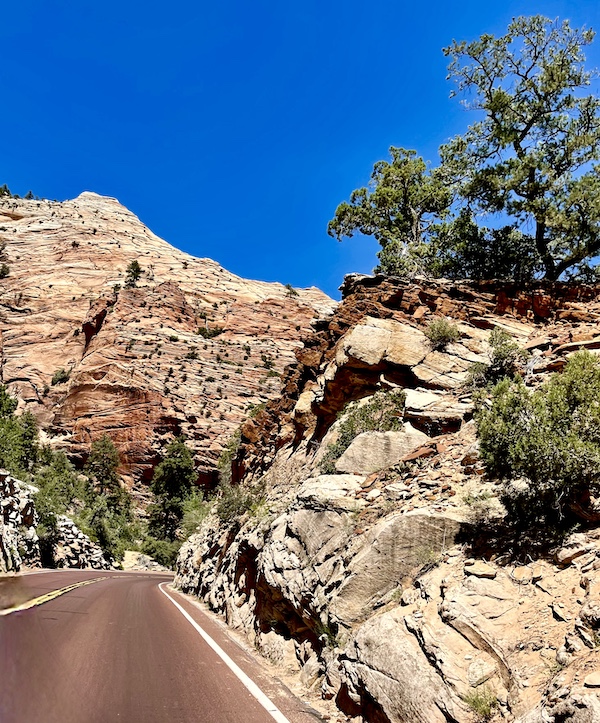 Mountains with lots of layered stone and trees along the highway through Zion National Park Utah