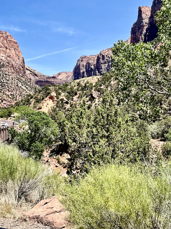 Trees and bushes growing at the base of mountains at Zion National Park Utah