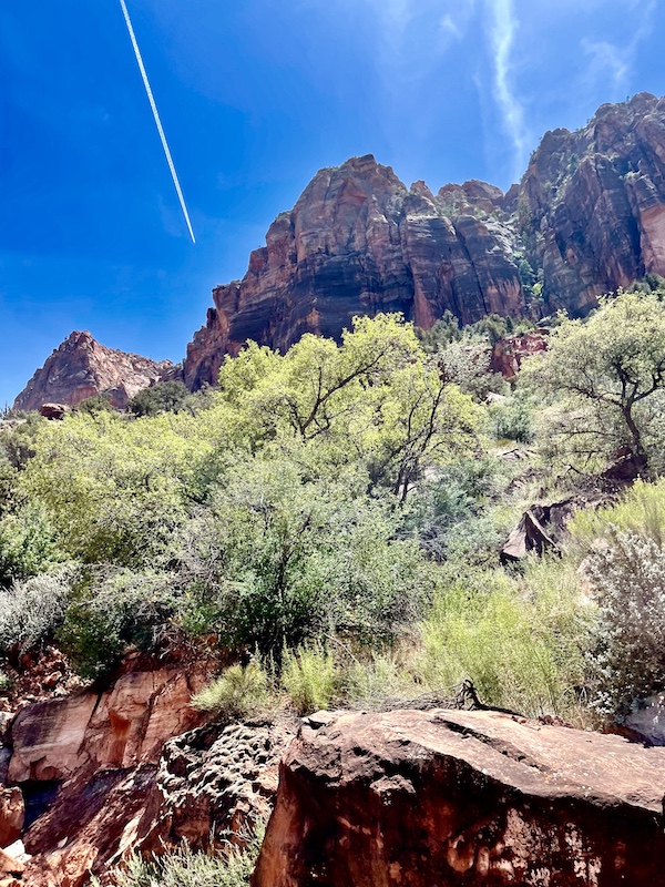 Deep purple mountains, sage green bushes and a jetstream in the sky over Zion National Park Utah