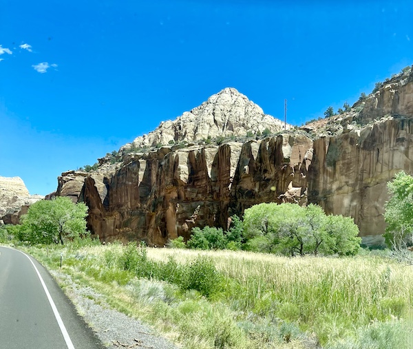 Red rock and white mountain peak with grasses and bushes in the foreground at Capitol Reef National Park