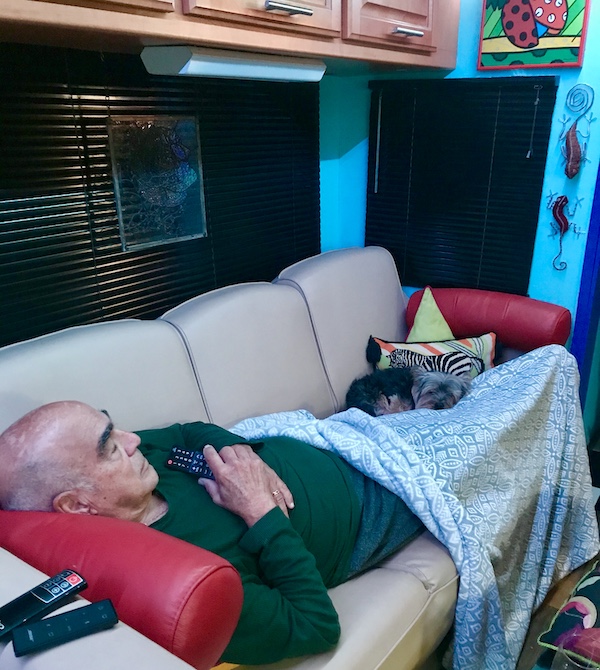 Beige sofa with Steve and Hershi napping.