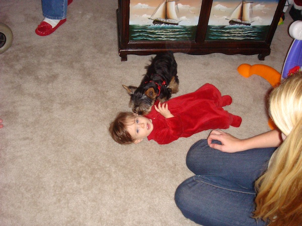 Farewell Sweet Prince Hershi as we remember him as a puppy kissing a baby in a red ones.