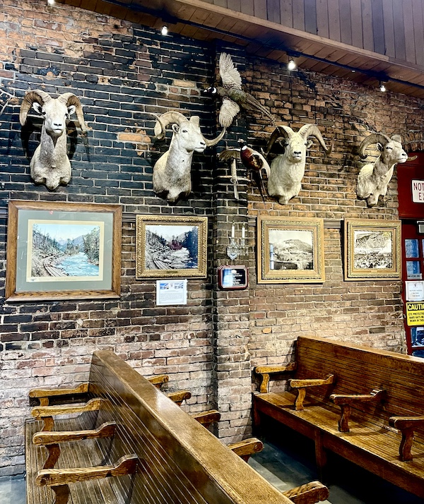 Wooden seats and stuffed rams heads on display at the Durango and Silverton Narrow Gauge Railroad Museum