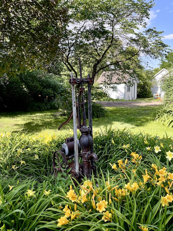 Water pump in yard with lawn and yellow flowers at studio of Artist Sondra Jonson Cambridge NE