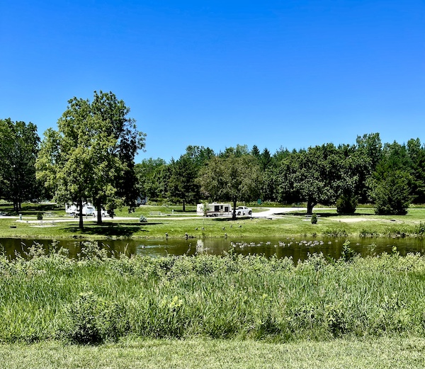 RV park with grass, wildflowers, trees, pond and RVs.