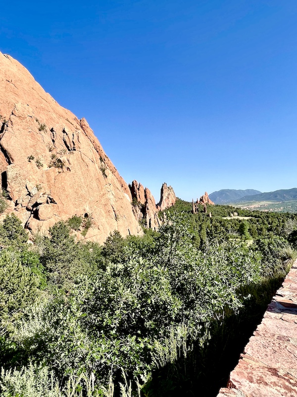 Rock formations that look like trees along side real trees at Garden of the Gods