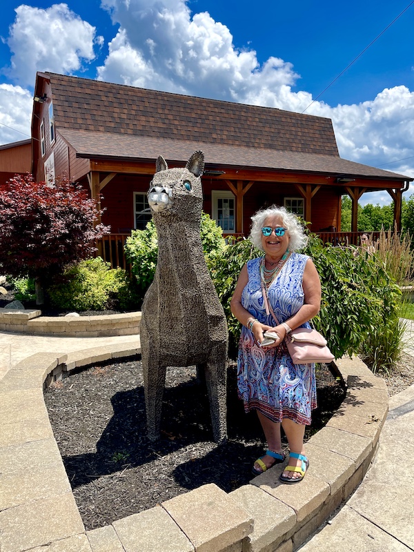I'm standing beside a metal sculpture of an alpaca at Majestic Meadows Alpacas Ohio