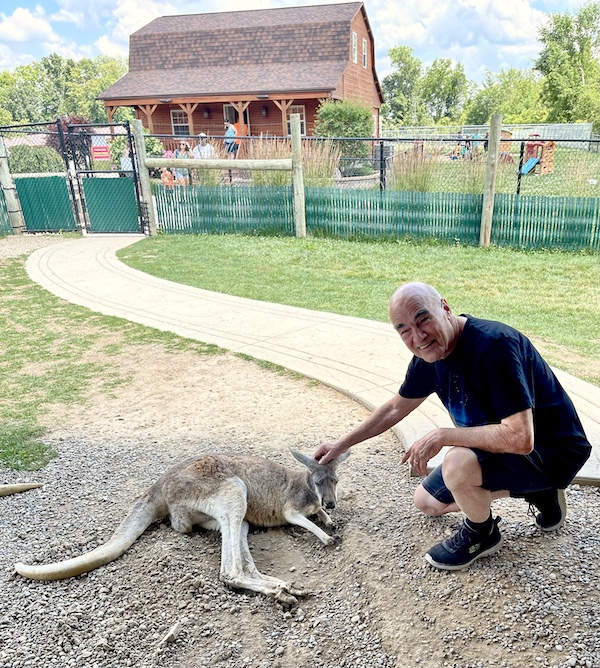 Steve petting a gray kangaroo who's lying on the ground at v