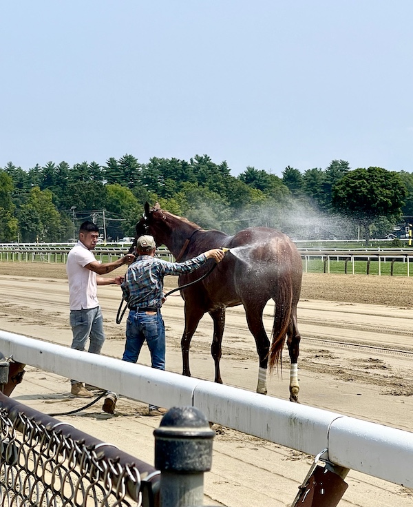 A horse being hosed with water by two grooms at Historic Saratoga Race Course