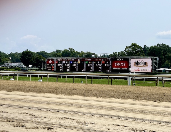 On the track a board gives you the odds and other info for each race.