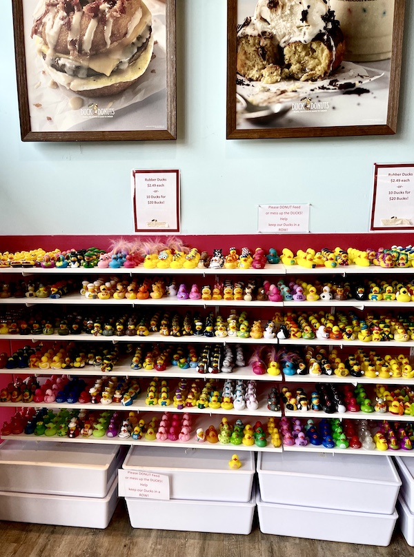 Donut shop we stopped at on our way to Historic Saratoga Race Course. Shelves filled with little rubber duckies.