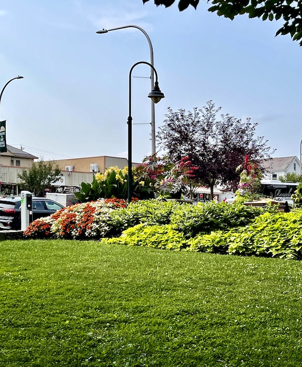 Rolling green lawn and beautiful flowering plants.