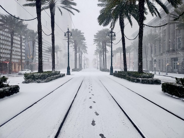 Tall palm trees line a snow covered street with trolley tracks during a snowstorm. Why NOLA Should be Renamed SNOWLA!