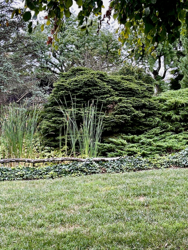 Lawn, reeds and trees near the Sand Sculptures Peddler's Village