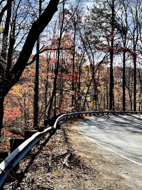 Country road with trees that have red leaves. I love that I can tell you about this since Happily Back to Writing!
