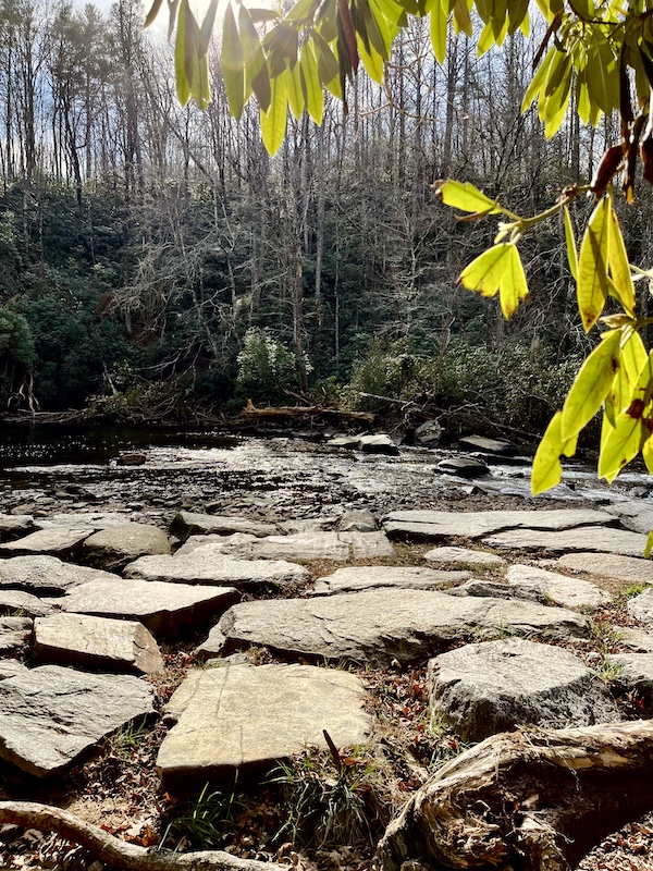 Flat rocks in the water near Hooker Falls. I'm so Happily Back to Writing!