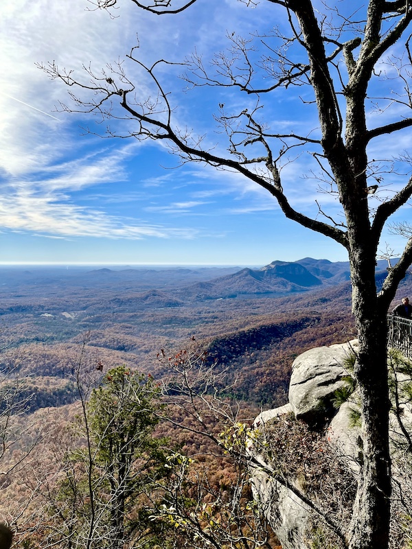 Mountain vista with leafless tree on right.