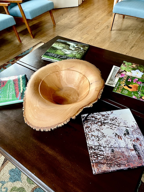 Wood bowl that looks like a birds nest on a table with books on birds.