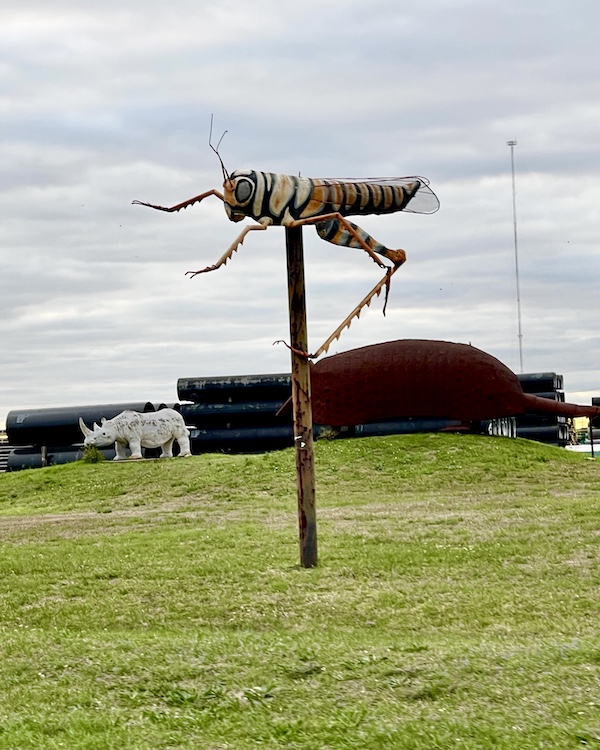 White rhino and fly on a pole metal sculptures are some of the Roadside Art in Houston Texas