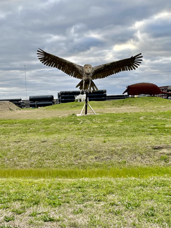 Metal sculpture of a huge owl on the lawn is just some of the Roadside Art in Houston Texas