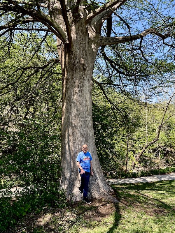 Steve appears dwarfed by the tall tree he's standing in front of at Landa Park New Braunfels TX