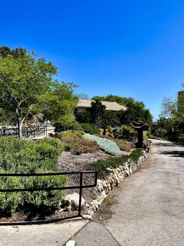 Pathway into Japanese Tea Garden San Antonio lined with greenery and limestone rocks.