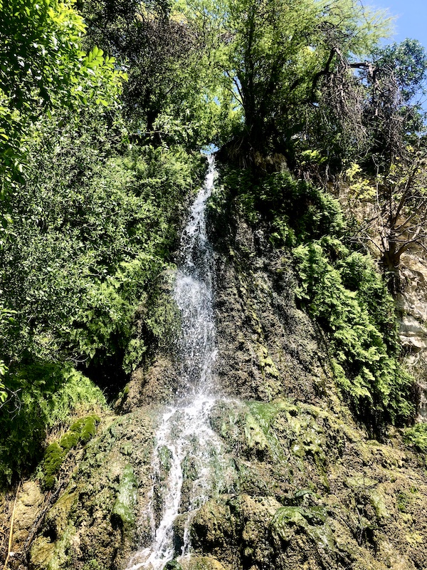 Tall waterfall runs down limestone at Limestone walls line the green water that reflects the Japanese Tea Garden San Antonio