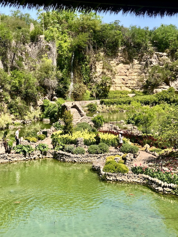 Koi in green water lagoon, limestone paths and bridges amid landscape at Japanese Tea Garden San Antonio