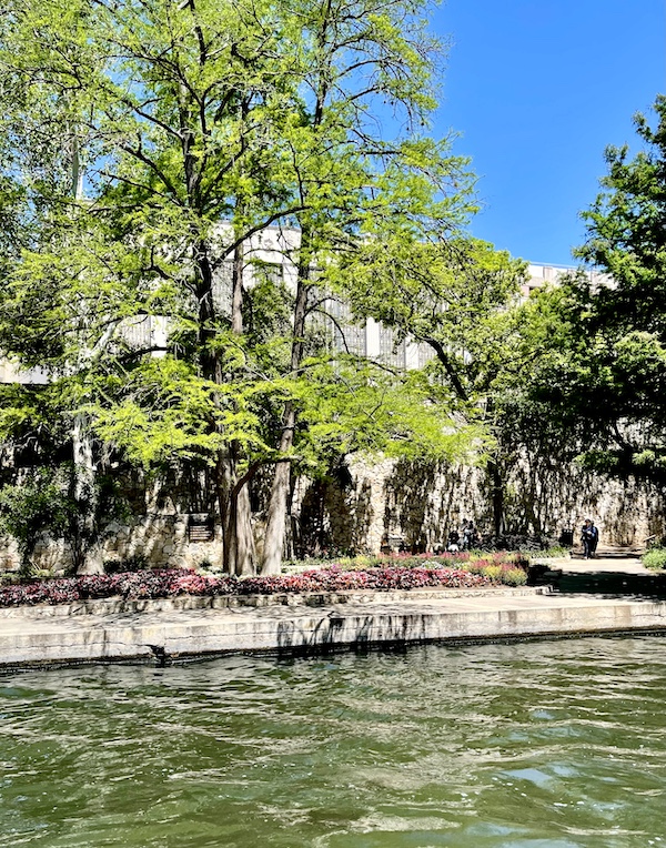 Stone wall with trees and flowers in front of it and river flows along the San Antonio River Walk