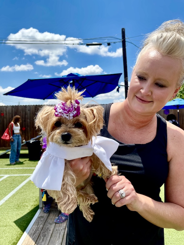 Tan Yorkie hair in a scrunchie and wearing a white cape. She's being held by her human mom at Cinco de Barko Houston
